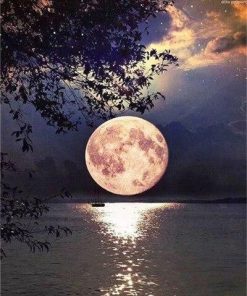 Full Moon On Lake - Landscapes Paint By Number