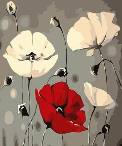Red and White Poppies - Paint By Number