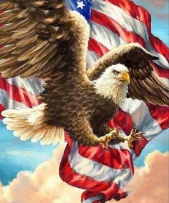 Eagle And America Flag Birds