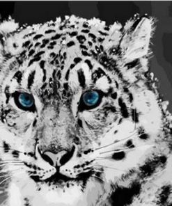 Baby Snow Leopard - Animals Paint By Number