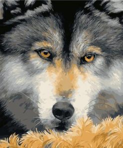 Wolf Yellow Eyes - Animals Paint By Number