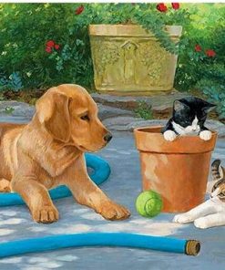 Dog With Cats In Garden - Animals Paint By Number
