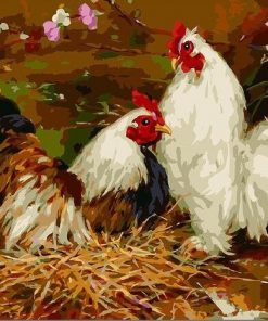 Two Chickens - Birds Paint By Number