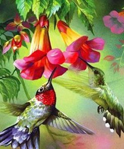 Hummingbirds Paint By Number