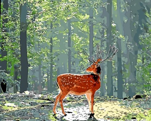 deer in forest paint by numbers