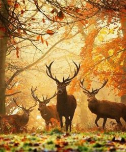 Deer In Autumn Forest - Animals Paint By Number