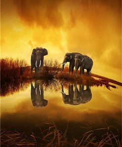 Elephant In Swamp - Animals Paint By Number