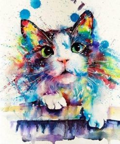 Colorful Splash Cat - Animals Paint By Number