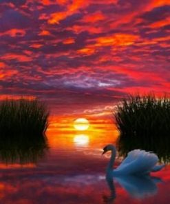 Swan In Lake At Sunset - Paint By Number