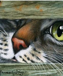Cat Hiding Under Door - Animals Paint By Number