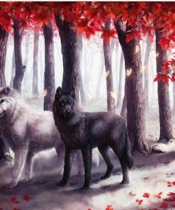 Black And White Wolves - Animals Paint By Number