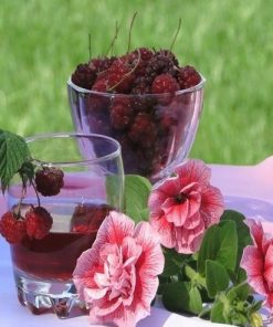 Roses And Black Raspberries - Paint By Number