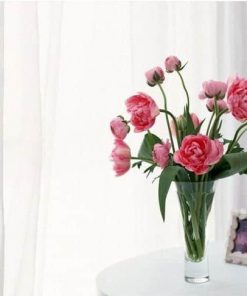 Pink Peonies In Glass - Paint By Number