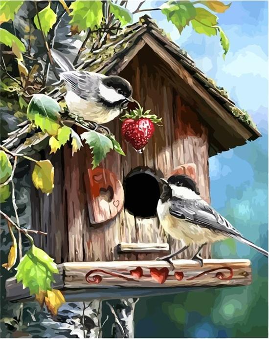 Picture Birds Animals - DIY Paint By Numbers - Modern Paint