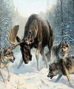 Moose And Wolves Animals Paint By Numbers
