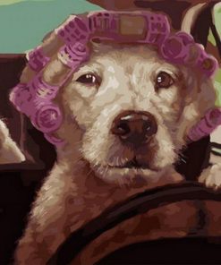 Dog Driving Car - Animals Paint By Number