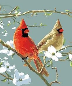 Cardinals Birds Paint By Number