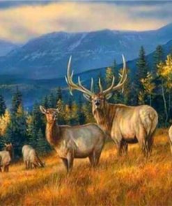 Wild Deer Animals - Paint By Number