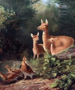 Deer Family In Jungle - Animals Paint By Number