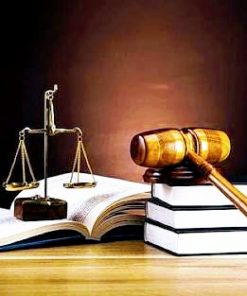 Justice Law - Paint By Numbers