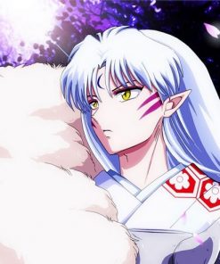 Sesshomaru - Animes Paint By Numbers