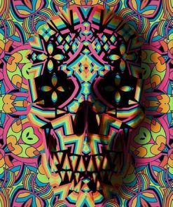 Colorful Mandala Skull Paint By Numbers