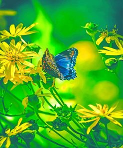 Butterfly Enjoying Nature Paint by numbers