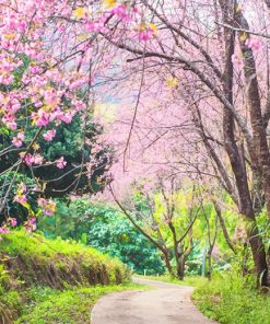 Cherry Blossom Trees NEW Paint By Numbers