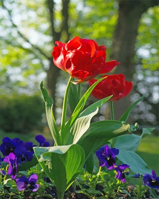 Red Peonies Paint by numbers