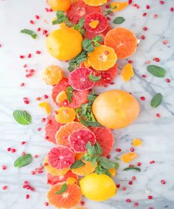 Citrus Pomegranate Salad adult paint by numbers