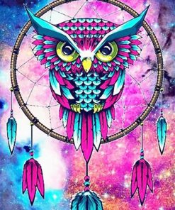 Colorful owl dream catcher adult paint by numbers