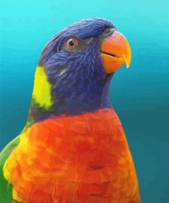 Colorful Parrot Adult Paint by number