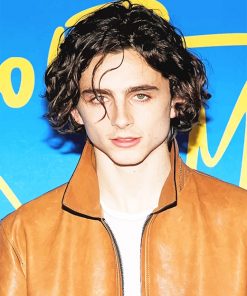 Cute Timothée paint by number