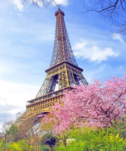 Eiffel Tower in spring adult paint by numbers