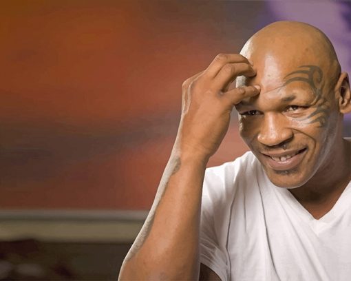 the boxer Mike Tyson adult paint by numbers