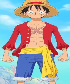 Monkey D Luffy Anime adult paint by numbers