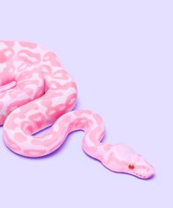 Pink Snake adult paint by numbers