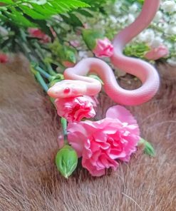 Pink snake with flowers adult paint by numbers