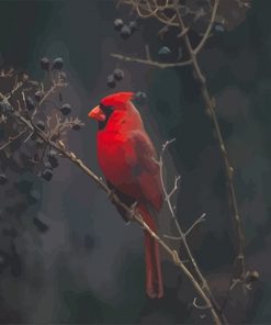 Red Cardina bird adult paint by numbers