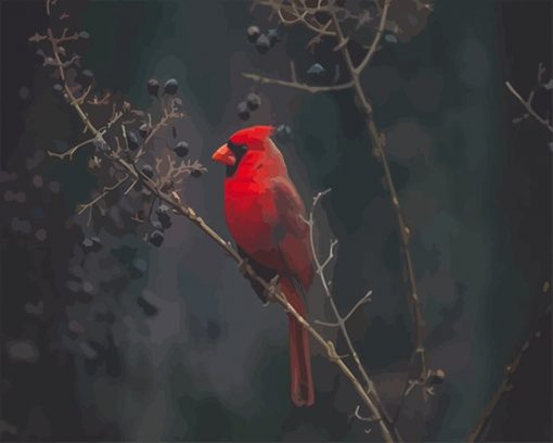 Red Cardina bird adult paint by numbers