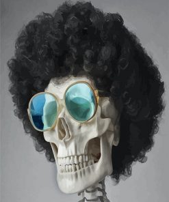 Skeleton with sunglasses adult paint by number