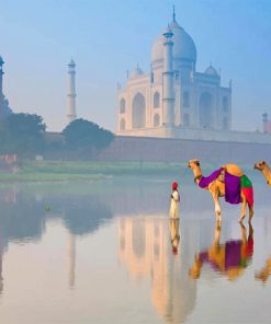 Taj mahal india landscape adult paint by numbers