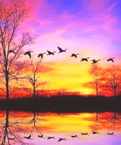 Waterfowl sunset adult paint by numbers