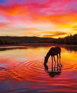 Arizona Amazing Sunset paint by number