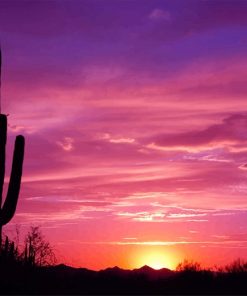 Beautiful Cactus Sunset paint by number