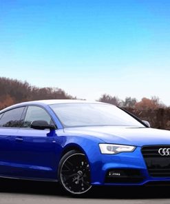 Blue Audi Car NEW paint by number