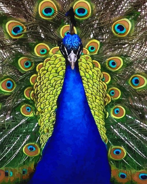 Blue Golden Peacock Bird NEW paint by number