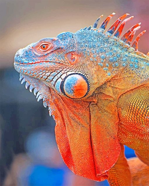 Colorful Iguana paint by number