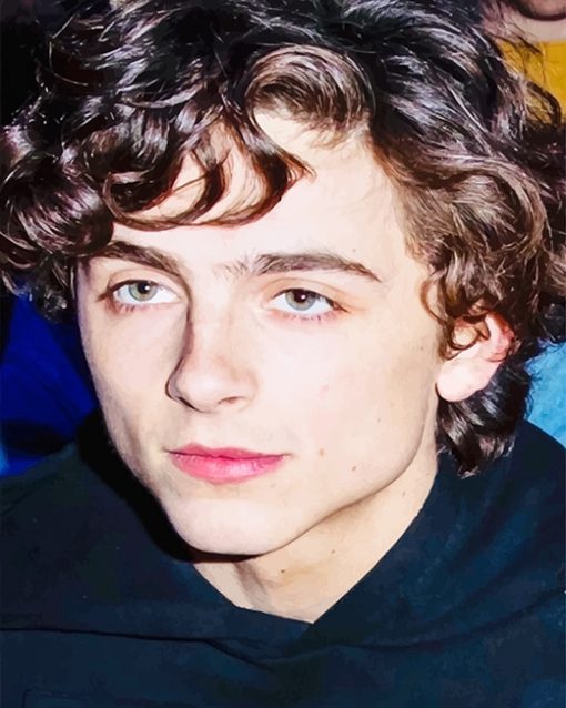 Cute Timothee Chalamet Paint by numbers