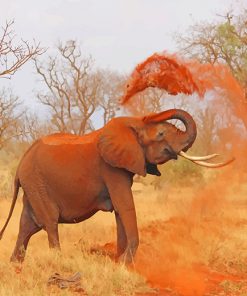 African elephant paint by number